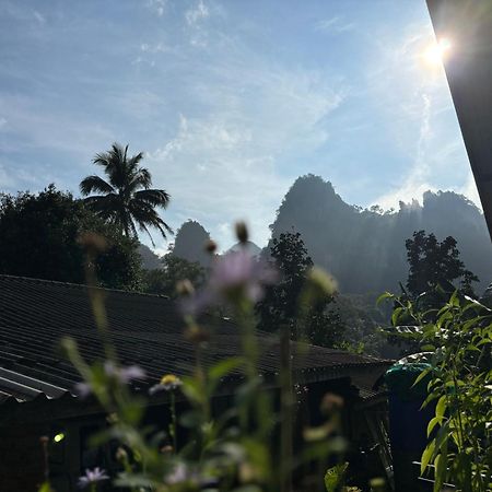 Khao Sok Backpacker Hostel Khao Sok National Park Экстерьер фото