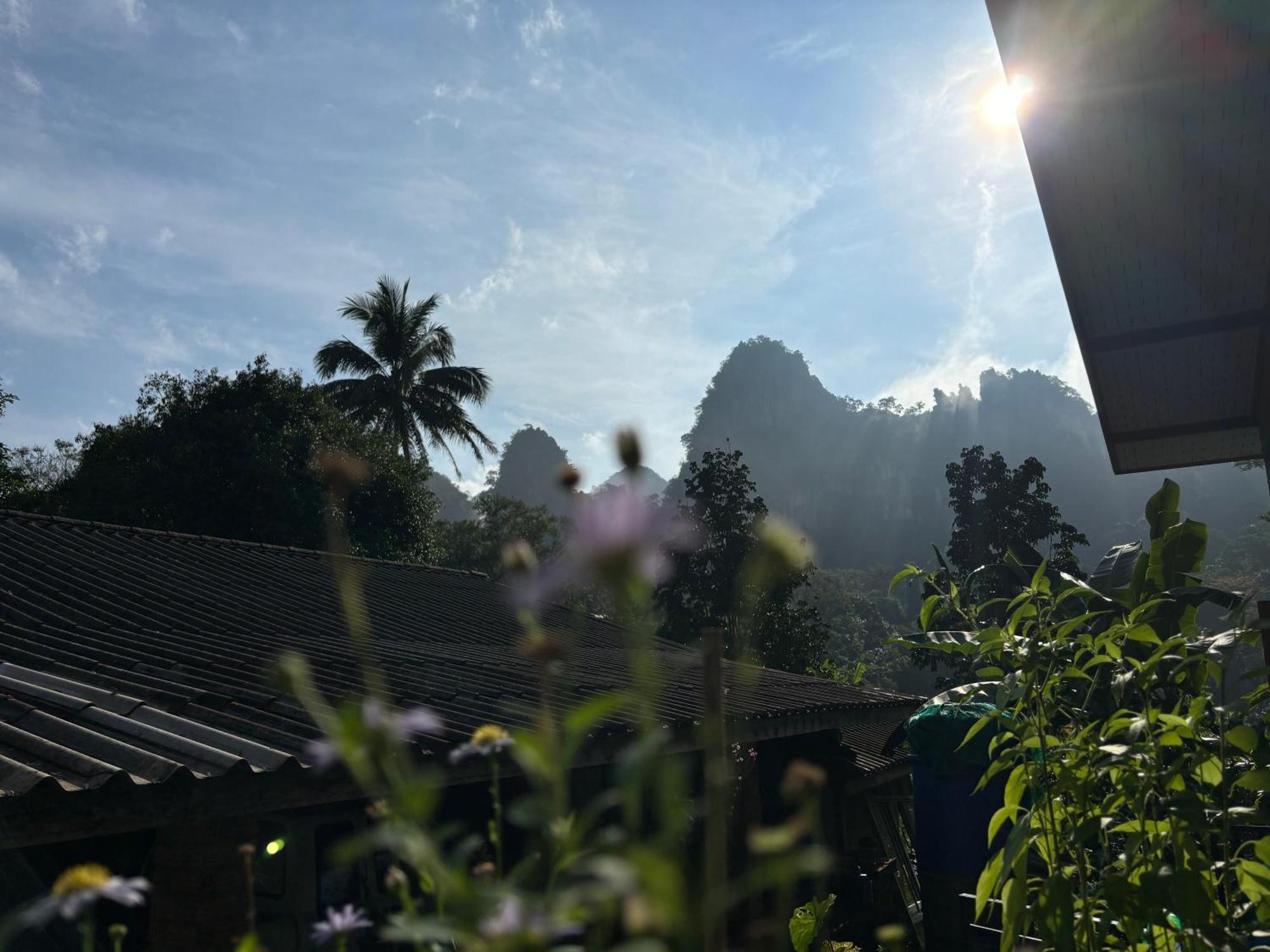 Khao Sok Backpacker Hostel Khao Sok National Park Экстерьер фото